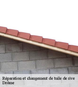 Réparation et changement de tuile de rive  26 Drôme  Artisan Laplagne
