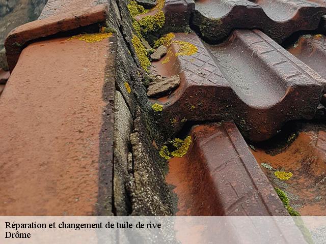 Réparation et changement de tuile de rive  26 Drôme  Artisan Laplagne