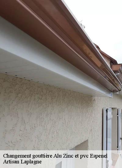 Changement gouttière Alu Zinc et pvc  espenel-26340 Artisan Laplagne