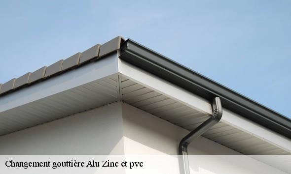 Changement gouttière Alu Zinc et pvc  mollans-sur-ouveze-26170 Artisan Laplagne