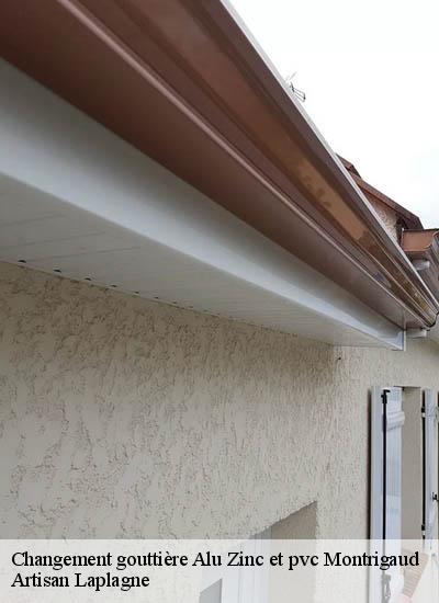 Changement gouttière Alu Zinc et pvc  montrigaud-26350 Artisan Laplagne