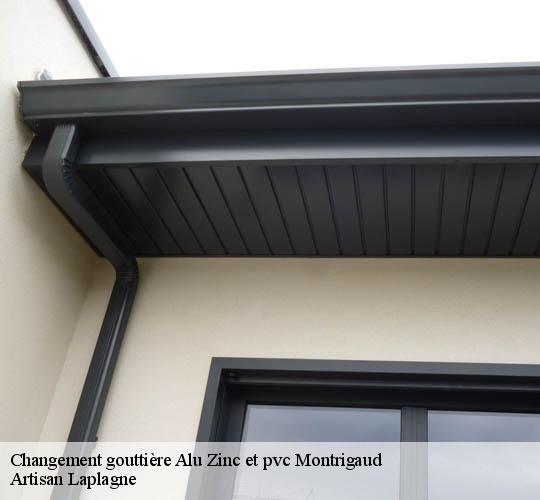 Changement gouttière Alu Zinc et pvc  montrigaud-26350 Artisan Laplagne