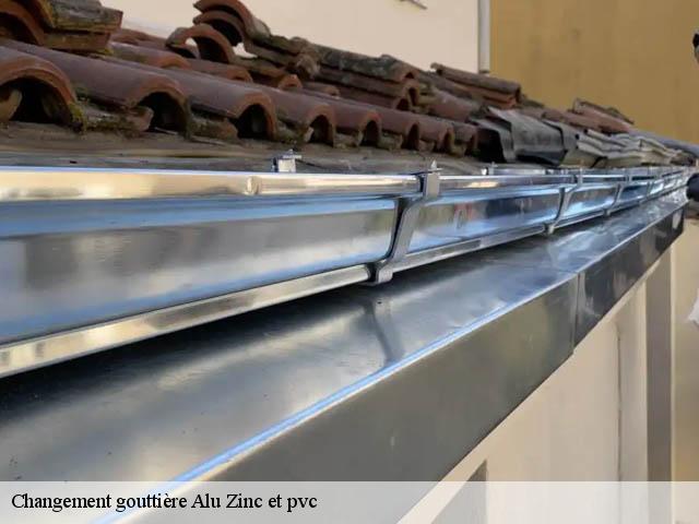 Changement gouttière Alu Zinc et pvc ratieres-26330 Artisan Laplagne