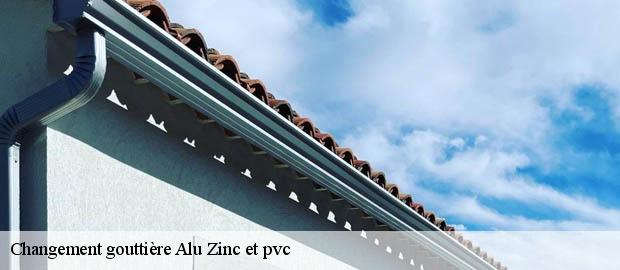 Changement gouttière Alu Zinc et pvc  valence-26000 Artisan Laplagne