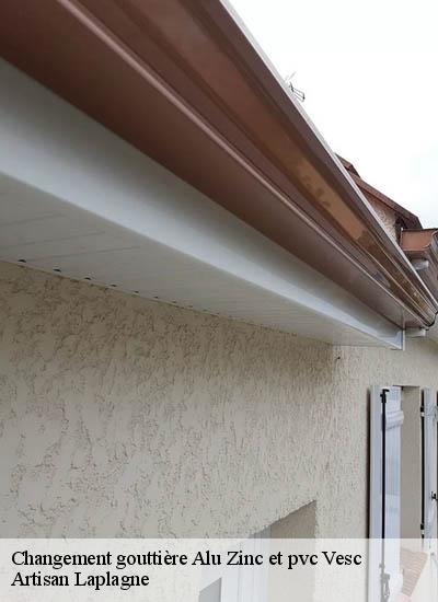 Changement gouttière Alu Zinc et pvc  vesc-26220 Artisan Laplagne