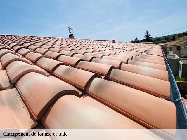 Changement de toiture et tuile  la-baume-d-hostun-26730 Artisan Laplagne