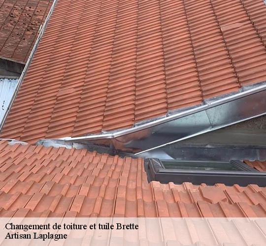 Changement de toiture et tuile  brette-26340 Artisan Laplagne
