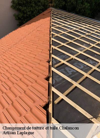 Changement de toiture et tuile  chalancon-26340 Artisan Laplagne