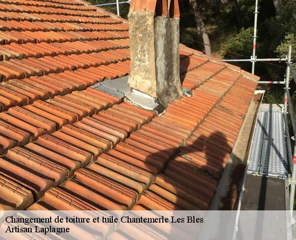 Changement de toiture et tuile chantemerle-les-bles-26600 Artisan Laplagne
