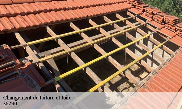 Changement de toiture et tuile  colonzelle-26230 Artisan Laplagne