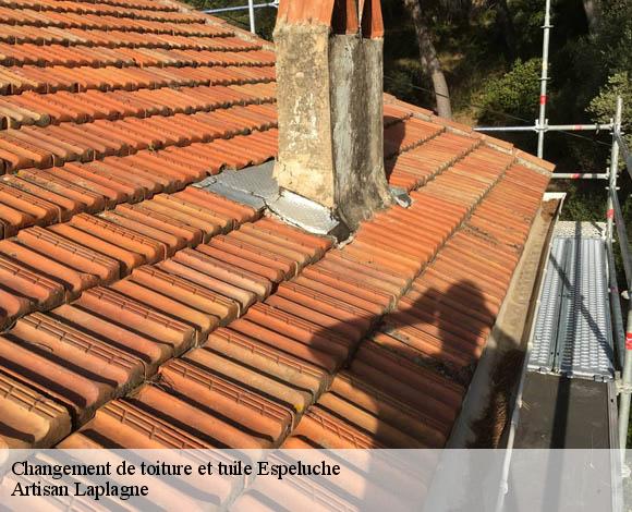 Changement de toiture et tuile  espeluche-26780 Artisan Laplagne