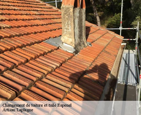 Changement de toiture et tuile  espenel-26340 Artisan Laplagne