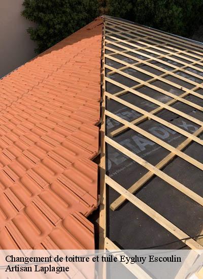 Changement de toiture et tuile  eygluy-escoulin-26400 Artisan Laplagne