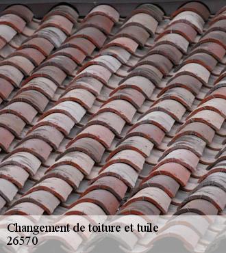 Changement de toiture et tuile  ferrassieres-26570 Artisan Laplagne