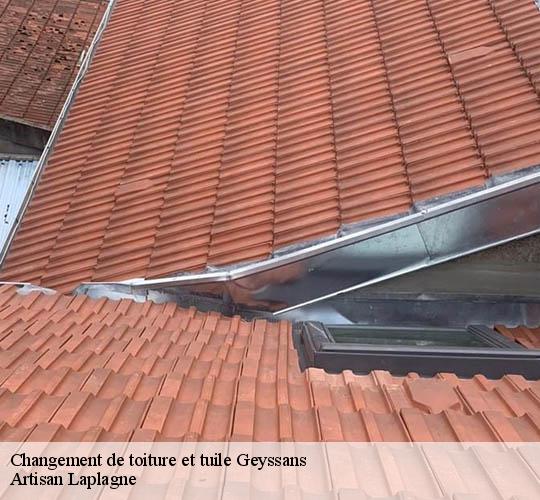Changement de toiture et tuile  geyssans-26750 Artisan Laplagne