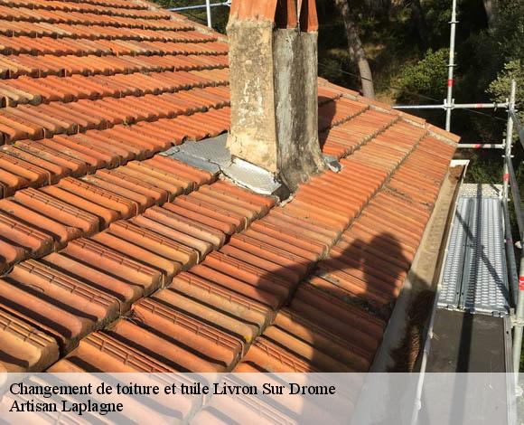 Changement de toiture et tuile  livron-sur-drome-26250 Artisan Laplagne