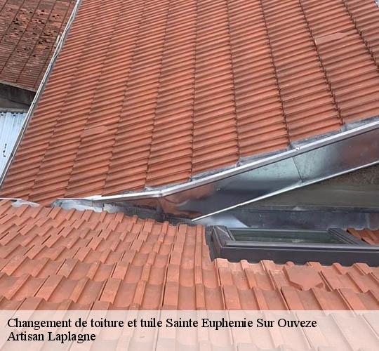 Changement de toiture et tuile sainte-euphemie-sur-ouveze-26170 Artisan Laplagne