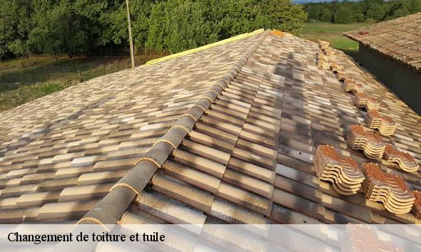 Changement de toiture et tuile  saint-maurice-sur-eygues-26110 Artisan Laplagne