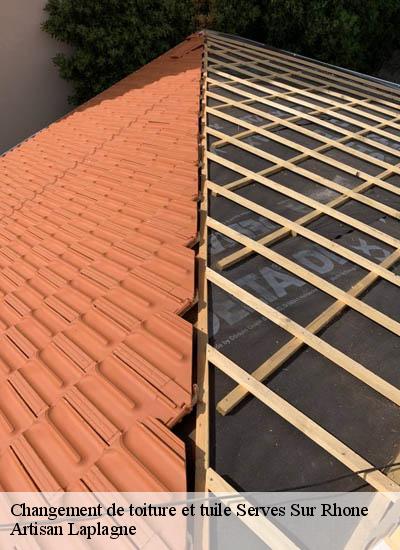 Changement de toiture et tuile  serves-sur-rhone-26600 Artisan Laplagne