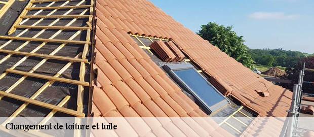 Changement de toiture et tuile  suze-26400 Artisan Laplagne