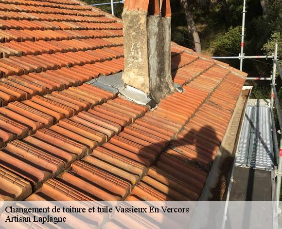 Changement de toiture et tuile  vassieux-en-vercors-26420 Artisan Laplagne