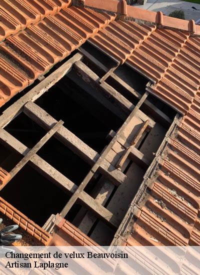 Changement de velux  beauvoisin-26170 Artisan Laplagne