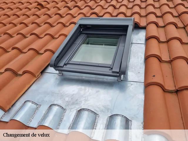 Changement de velux  chateaudouble-26120 Artisan Laplagne