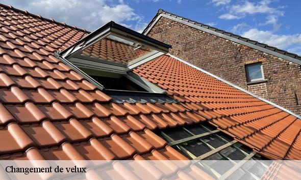 Changement de velux  laborel-26560 Artisan Laplagne