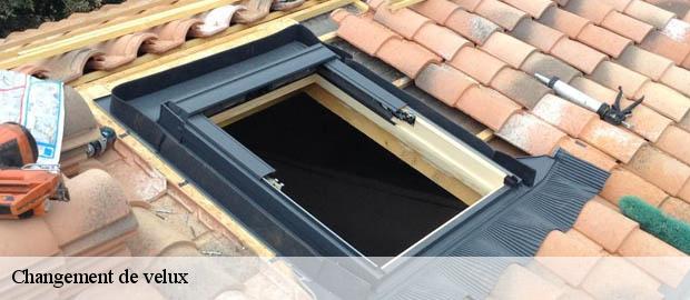 Changement de velux  solerieux-26130 Artisan Laplagne