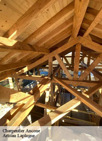 Charpentier  ancone-26200 Artisan Laplagne