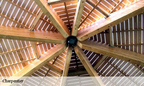 Charpentier  beaufort-sur-gervanne-26400 Artisan Laplagne