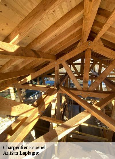 Charpentier  espenel-26340 Artisan Laplagne
