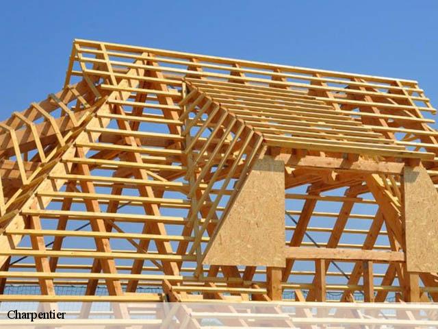Charpentier  montbrison-26770 Artisan Laplagne