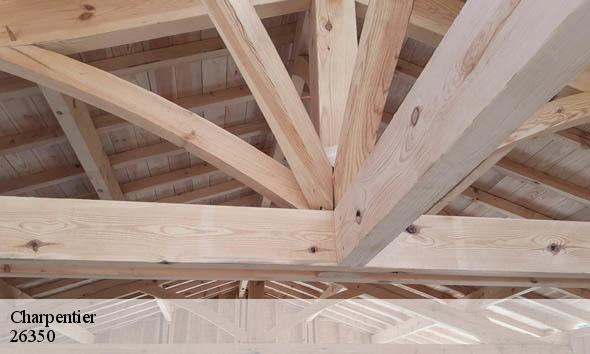 Charpentier  montchenu-26350 Artisan Laplagne