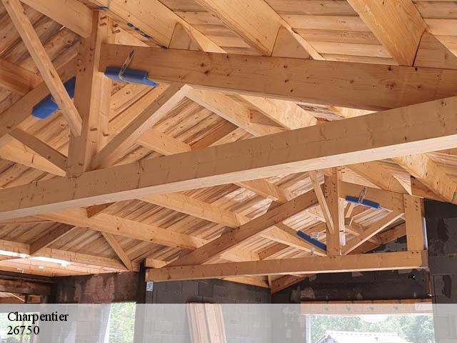 Charpentier  saint-michel-sur-savasse-26750 Artisan Laplagne