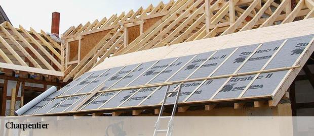 Charpentier  la-vacherie-26190 Artisan Laplagne