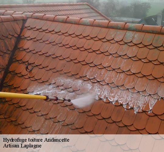 Hydrofuge toiture  andancette-26140 Artisan Laplagne