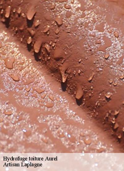 Hydrofuge toiture  aurel-26340 Artisan Laplagne