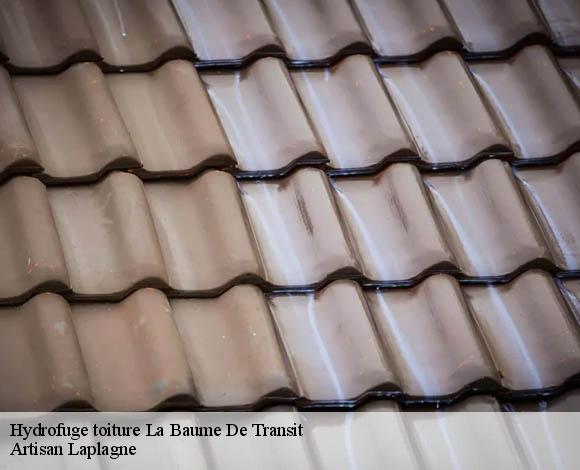 Hydrofuge toiture  la-baume-de-transit-26790 Artisan Laplagne