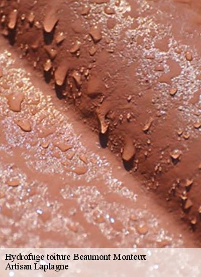 Hydrofuge toiture  beaumont-monteux-26600 Artisan Laplagne