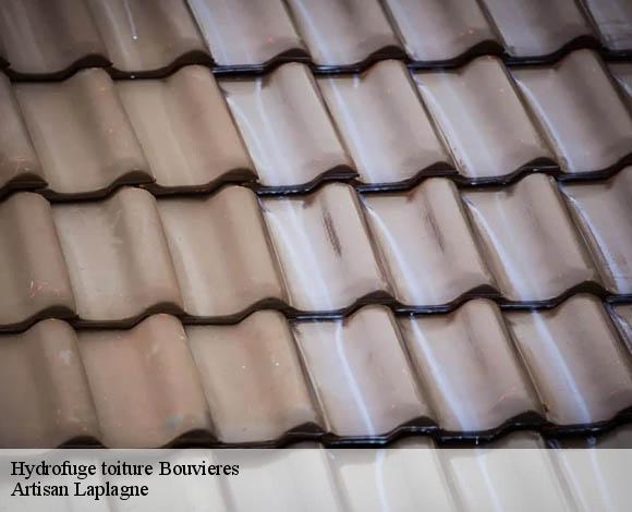 Hydrofuge toiture  bouvieres-26460 Artisan Laplagne
