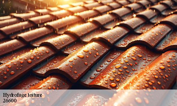 Hydrofuge toiture  chanos-curson-26600 Artisan Laplagne