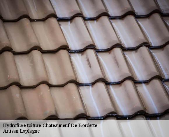 Hydrofuge toiture  chateauneuf-de-bordette-26110 Artisan Laplagne