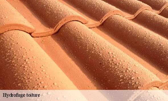 Hydrofuge toiture  cleon-d-andran-26450 Artisan Laplagne