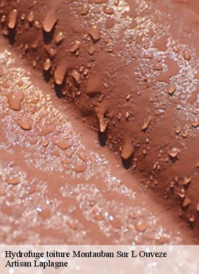 Hydrofuge toiture  montauban-sur-l-ouveze-26170 Artisan Laplagne