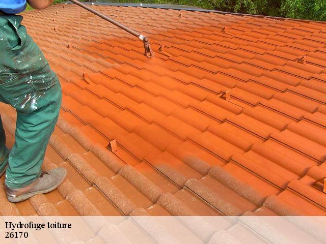 Hydrofuge toiture  montauban-sur-l-ouveze-26170 Artisan Laplagne