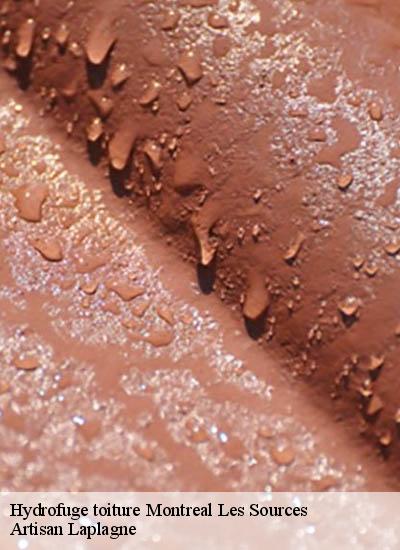 Hydrofuge toiture  montreal-les-sources-26510 Artisan Laplagne