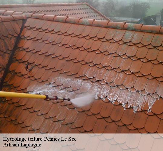 Hydrofuge toiture  pennes-le-sec-26340 Artisan Laplagne