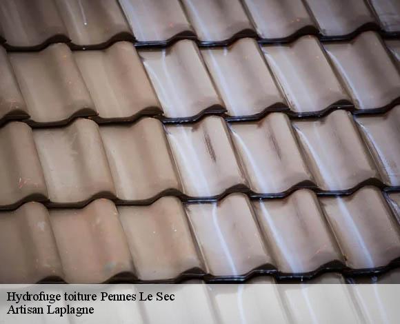 Hydrofuge toiture  pennes-le-sec-26340 Artisan Laplagne