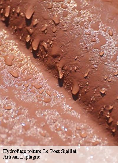 Hydrofuge toiture le-poet-sigillat-26110 Artisan Laplagne
